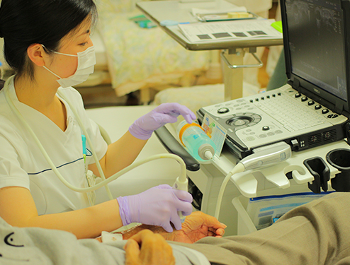 シャントエコー